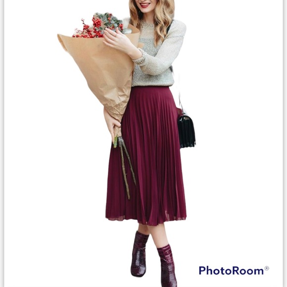 Wilfred Dresses & Skirts - Wilfred Twirl Burgundy skirt Size Xs